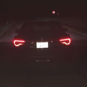 Meet your Posher, Sammy